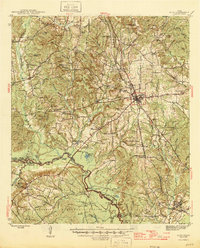 preview thumbnail of historical topo map of Alto, TX in 1946