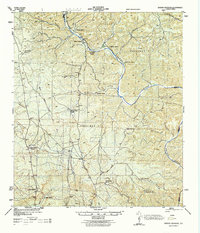 Download a high-resolution, GPS-compatible USGS topo map for Baker Crossing, TX (1944 edition)
