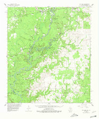 preview thumbnail of historical topo map of Newton County, TX in 1959