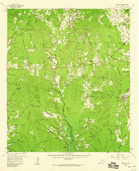 Download a high-resolution, GPS-compatible USGS topo map for Bronson, TX (1959 edition)