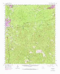 preview thumbnail of historical topo map of Newton County, TX in 1969