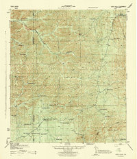 preview thumbnail of historical topo map of Edwards County, TX in 1943