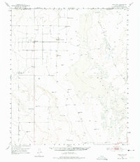 Download a high-resolution, GPS-compatible USGS topo map for Dell City, TX (1975 edition)