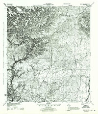 Download a high-resolution, GPS-compatible USGS topo map for Devils Lake, TX (1944 edition)