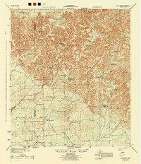 preview thumbnail of historical topo map of Edwards County, TX in 1944