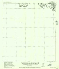 Download a high-resolution, GPS-compatible USGS topo map for Los Ebanos, TX (1956 edition)