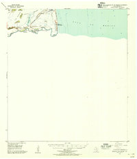 Download a high-resolution, GPS-compatible USGS topo map for Mouth Of Rio Grande, TX (1956 edition)