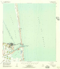 preview thumbnail of historical topo map of Port Isabel, TX in 1955