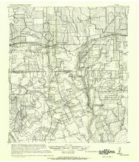 1919 Map of Schulenburg, 1956 Print
