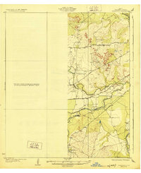 Download a high-resolution, GPS-compatible USGS topo map for Tankersly, TX (1928 edition)