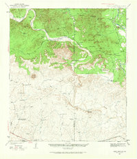 Download a high-resolution, GPS-compatible USGS topo map for Turkey Mountain, TX (1968 edition)
