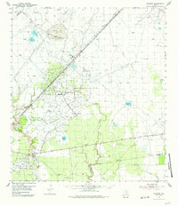 Download a high-resolution, GPS-compatible USGS topo map for Vidaurri, TX (1981 edition)