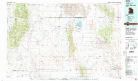 Download a high-resolution, GPS-compatible USGS topo map for Fish Springs, UT (1991 edition)