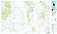 Download a high-resolution, GPS-compatible USGS topo map for Fish Springs, UT (1979 edition)