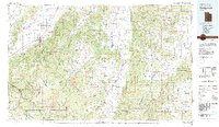 1980 Map of Panguitch, 1981 Print