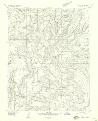 Download a high-resolution, GPS-compatible USGS topo map for Aneth 1 NW, UT (1958 edition)