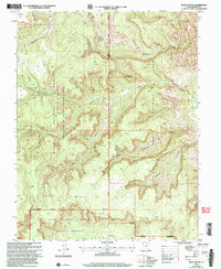 Download a high-resolution, GPS-compatible USGS topo map for Bear Canyon, UT (2005 edition)