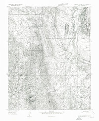 Download a high-resolution, GPS-compatible USGS topo map for Beaver Dam Mts NE, UT (1954 edition)