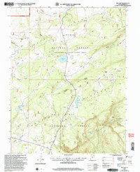 Download a high-resolution, GPS-compatible USGS topo map for Big Lake, UT (2005 edition)