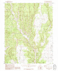Download a high-resolution, GPS-compatible USGS topo map for Black Mesa Butte, UT (1985 edition)