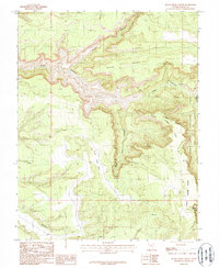 Download a high-resolution, GPS-compatible USGS topo map for Black Steer Canyon, UT (1987 edition)
