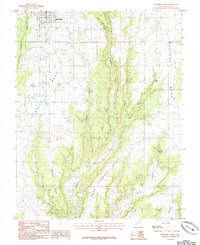 Download a high-resolution, GPS-compatible USGS topo map for Blanding South, UT (1985 edition)