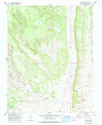 Download a high-resolution, GPS-compatible USGS topo map for Bluff NW, UT (1978 edition)