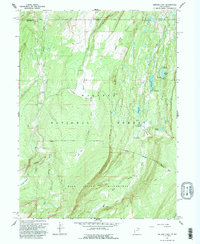 Download a high-resolution, GPS-compatible USGS topo map for Bridger Lake, UT (1995 edition)