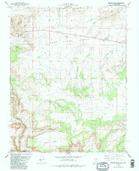 Download a high-resolution, GPS-compatible USGS topo map for Bridger Point, UT (1991 edition)