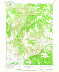 Download a high-resolution, GPS-compatible USGS topo map for Browns Hole, UT (1966 edition)