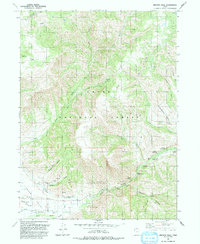 Download a high-resolution, GPS-compatible USGS topo map for Browns Hole, UT (1991 edition)