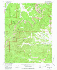Download a high-resolution, GPS-compatible USGS topo map for Bryce Point, UT (1982 edition)