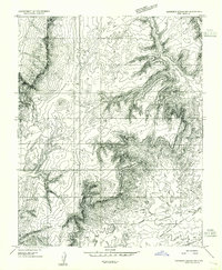 Download a high-resolution, GPS-compatible USGS topo map for Buckskin Gulch NW, UT (1954 edition)