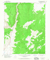 Download a high-resolution, GPS-compatible USGS topo map for Bull Rush Peak, UT (1968 edition)