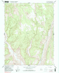Download a high-resolution, GPS-compatible USGS topo map for Calico Peak, UT (1992 edition)