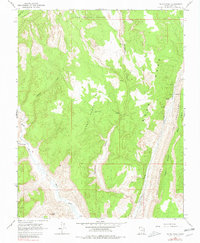 Download a high-resolution, GPS-compatible USGS topo map for Calico Peak, UT (1980 edition)