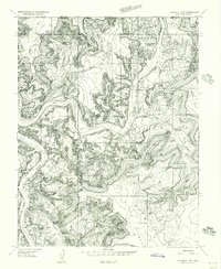 Download a high-resolution, GPS-compatible USGS topo map for Carlisle 1 NW, UT (1956 edition)