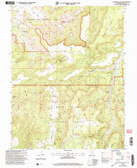Download a high-resolution, GPS-compatible USGS topo map for Cathedral Butte, UT (2004 edition)
