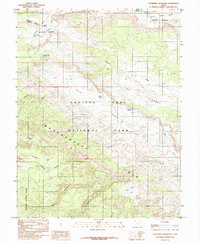 Download a high-resolution, GPS-compatible USGS topo map for Cathedral Mountain, UT (1985 edition)