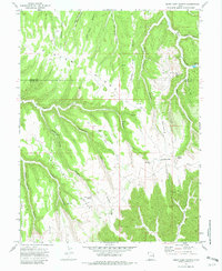 Download a high-resolution, GPS-compatible USGS topo map for Cedar Camp Canyon, UT (1982 edition)