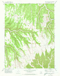 Download a high-resolution, GPS-compatible USGS topo map for Cedar Camp Canyon, UT (1973 edition)