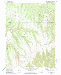 Download a high-resolution, GPS-compatible USGS topo map for Cedar Camp Canyon, UT (1987 edition)