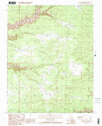 Download a high-resolution, GPS-compatible USGS topo map for Cedar Mesa North, UT (1989 edition)