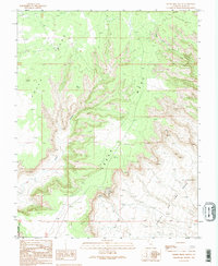 Download a high-resolution, GPS-compatible USGS topo map for Cedar Mesa South, UT (1995 edition)