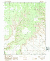 Download a high-resolution, GPS-compatible USGS topo map for Cedar Mesa South, UT (1989 edition)