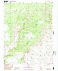 preview thumbnail of historical topo map of San Juan County, UT in 1996