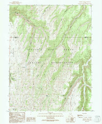 Download a high-resolution, GPS-compatible USGS topo map for Checken Fork, UT (1991 edition)