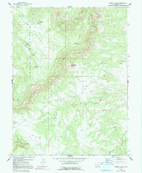 Download a high-resolution, GPS-compatible USGS topo map for Chimney Rock, UT (1991 edition)