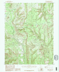 Download a high-resolution, GPS-compatible USGS topo map for Chippean Rocks, UT (1985 edition)