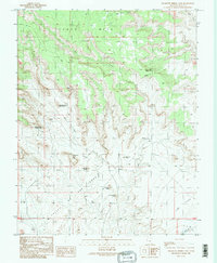 Download a high-resolution, GPS-compatible USGS topo map for Cigarette Spring Cave, UT (1989 edition)